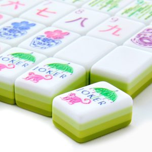 mahjong set 00629 (1)
