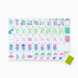 mahjong set 00629 (2)