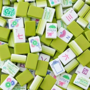 mahjong set 00629 (2)