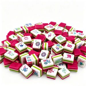 mahjong set 630 (3)