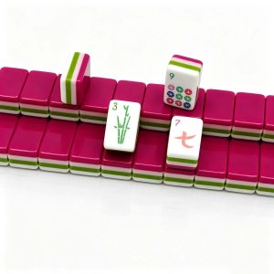 mahjong set 630 (4)