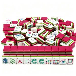 mahjong set 630 (5)