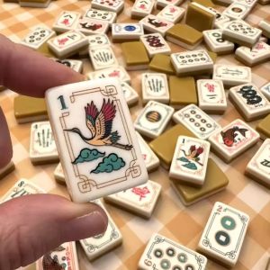 mahjong set 63001 (1)