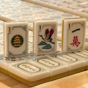 mahjong set 63001 (2)