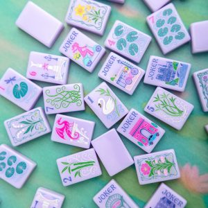 mahjong tiles set 630 (1)