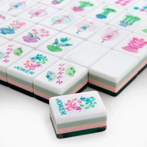 mahjong tiles set 63001 (2)