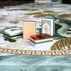 mahjong tile set 070301 (1)